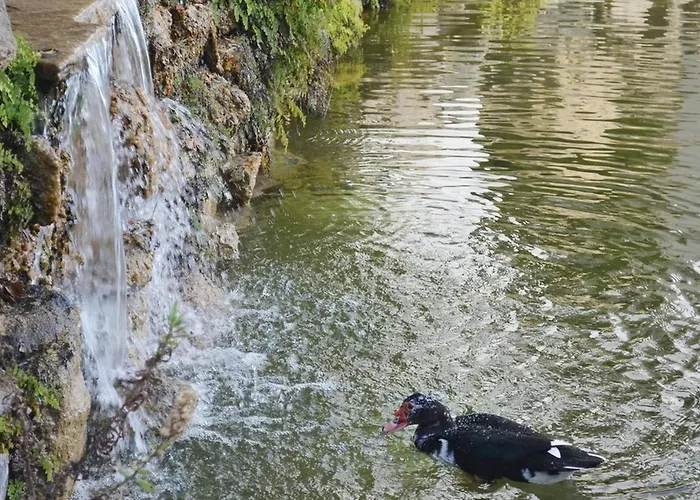 Stunning Duplex In Capistrano Playa, Daire